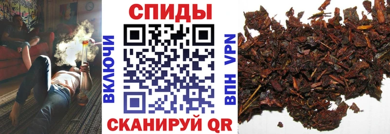 как найти закладки Себеж KRAKEN ссылка БУТИРАТ оксибутират