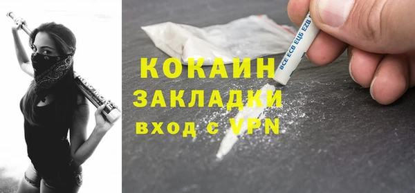 стаф Аркадак