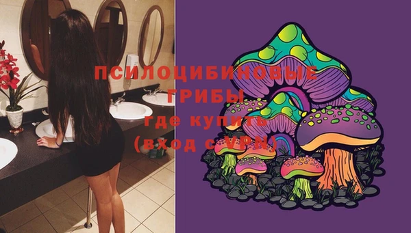 хмурый Алексеевка