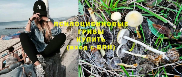 марихуана Нефтекумск