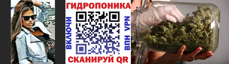 Бошки Шишки гибрид закладки Себеж